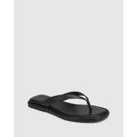 Read Wittner Reviews